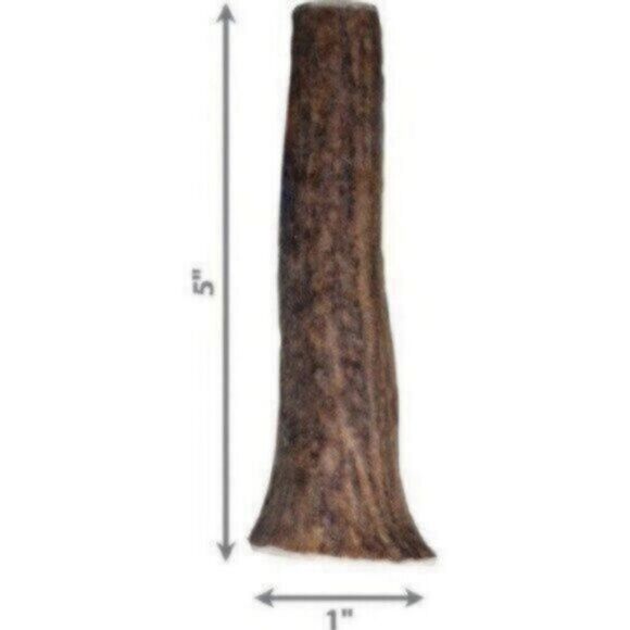 Set of Two KONG Wild Whole Elk Antler Dog Chew, Small - Picture 3 of 5